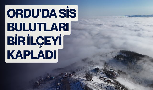 Ordu'da sis bulutları bir ilçeyi kapladı