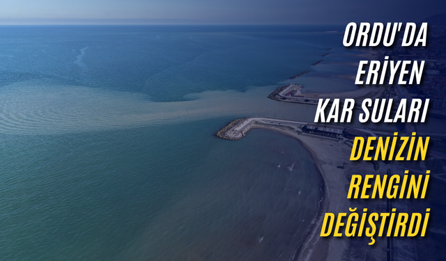 Ordu'da eriyen kar suları denizin rengini değiştirdi