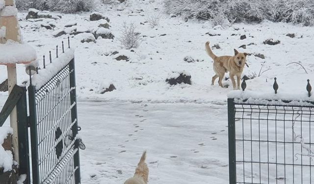 Ankara'ya nisan ayında kar yağdı
