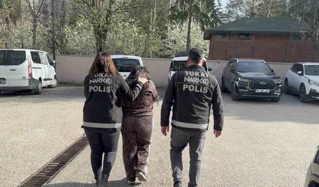 Tokat'ta zehir tacirlerine operasyon: 1 tutuklama