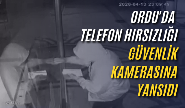 Ordu'da telefon hırsızlığı güvenlik kamerasına yansıdı