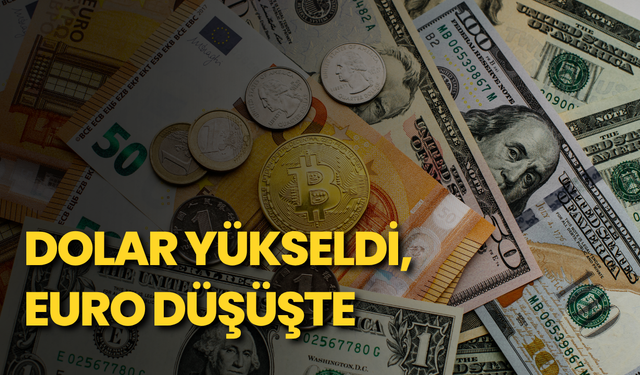 Dolar yükseldi, euro düşüşte