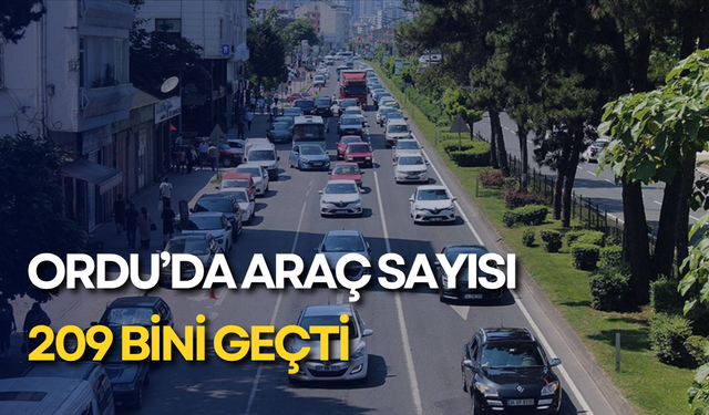 Ordu’da araç sayısı 209 bini geçti