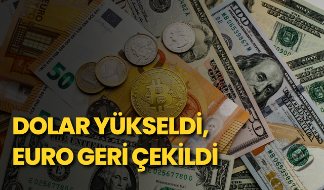Dolar yükseldi, euro geri çekildi