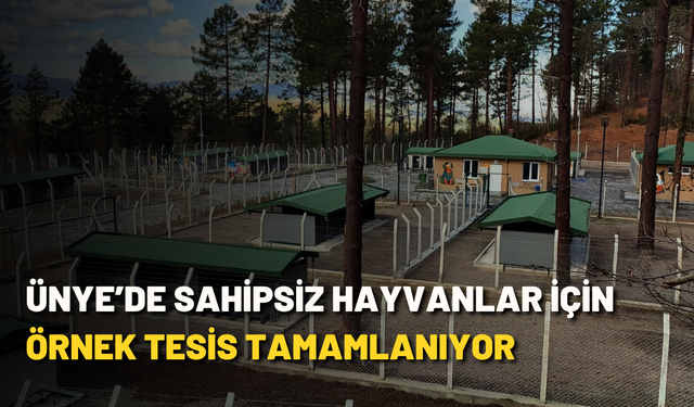 Ünye’de sahipsiz hayvanlar için örnek tesis tamamlanıyor