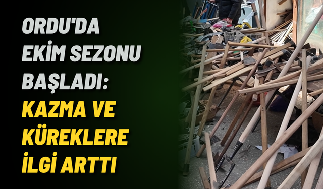 Ordu'da ekim sezonu başladı: Kazma ve küreklere ilgi arttı