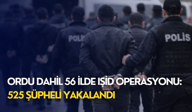 Ordu dahil 56 ilde IŞİD operasyonu: 525 şüpheli yakalandı