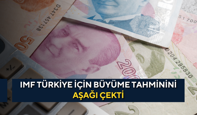 IMF Türkiye için büyüme tahminini aşağı çekti