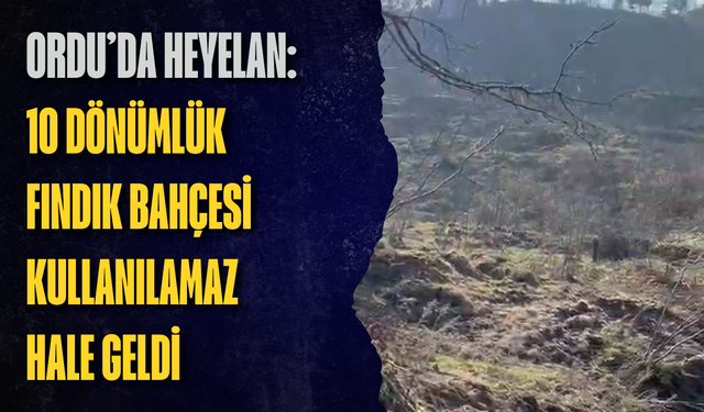 Ordu’da heyelan: 10 dönümlük fındık bahçesi kullanılamaz hale geldi