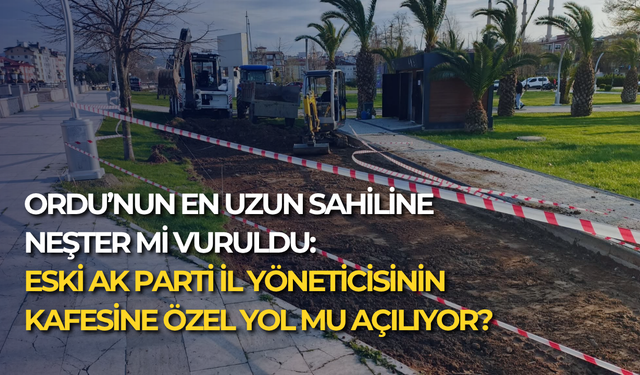 Ordu’nun en uzun sahiline neşter mi vuruldu: Eski AK Parti İl yöneticisinin kafesine özel yol mu açılıyor?