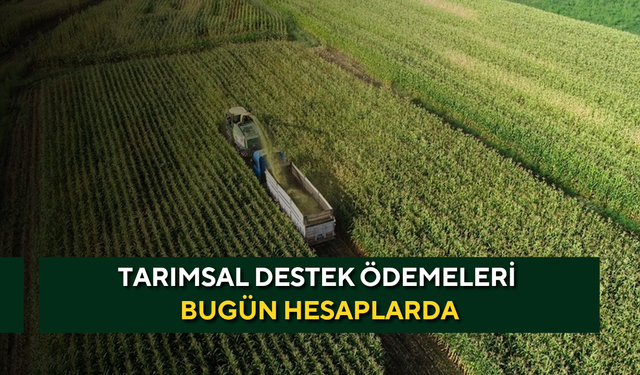 Tarımsal destek ödemeleri bugün hesaplarda