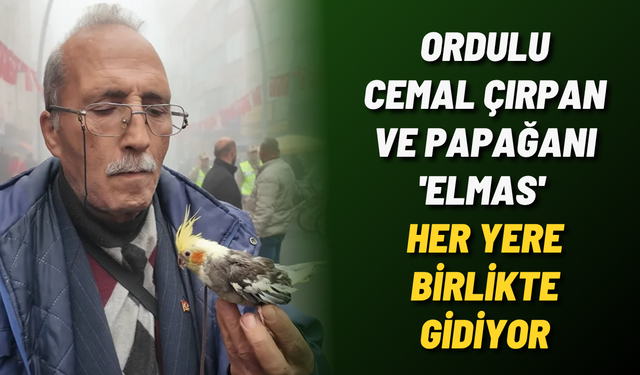 Ordulu Cemal Çırpan ve papağanı 'Elmas' her yere birlikte gidiyor