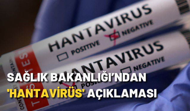 Sağlık Bakanlığı’ndan 'hantavirüs' açıklaması