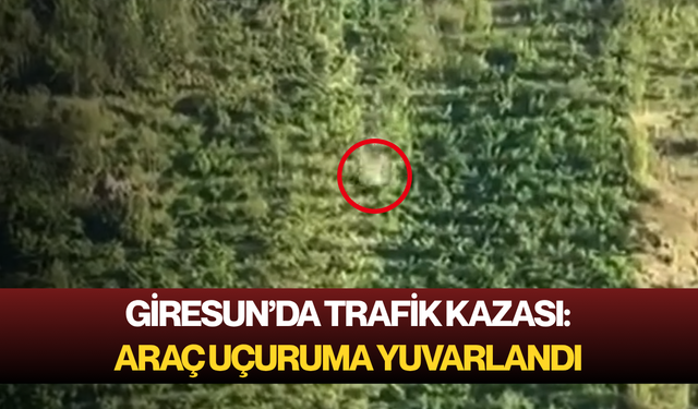 Giresun’da trafik kazası: Araç uçuruma yuvarlandı