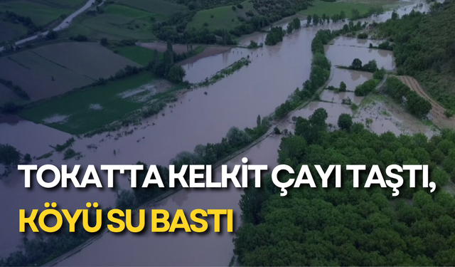 Tokat'ta Kelkit Çayı taştı, köyü su bastı