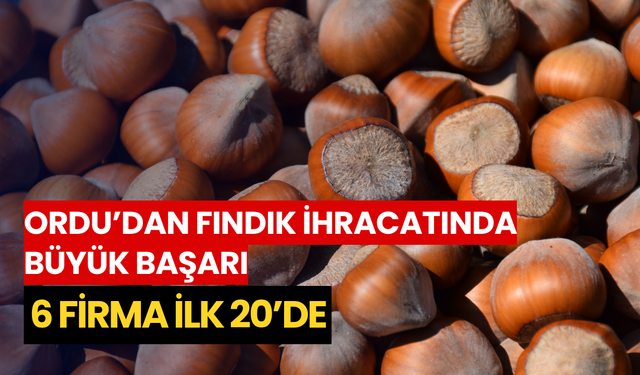 Ordu’dan fındık ihracatında büyük başarı: 6 firma ilk 20’de