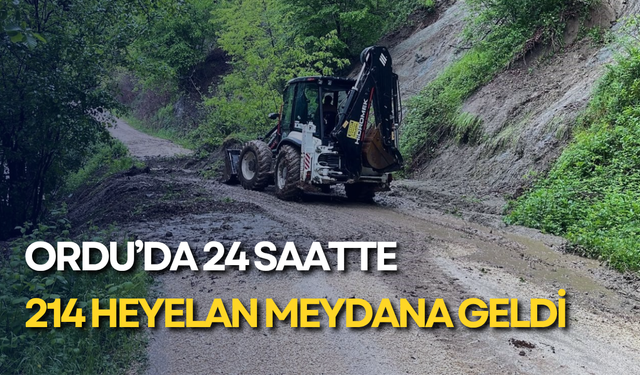 Ordu’da 24 saatte 214 heyelan meydana geldi