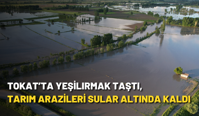 Tokat’ta Yeşilırmak taştı, tarım arazileri sular altında kaldı