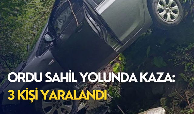 Ordu sahil yolunda kaza: 3 kişi yaralandı