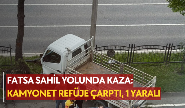 Fatsa sahil yolunda kaza: Kamyonet refüje çarptı, 1 yaralı