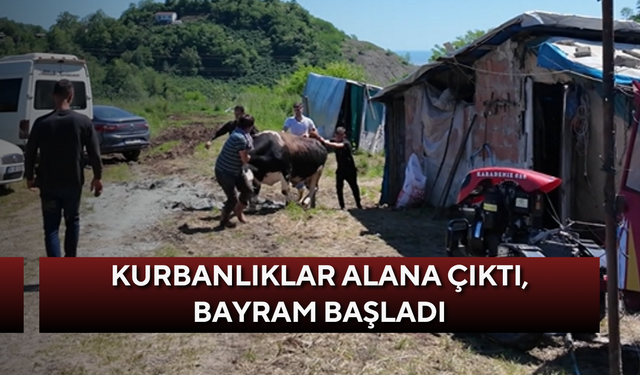 Kurbanlıklar alana çıktı, bayram başladı