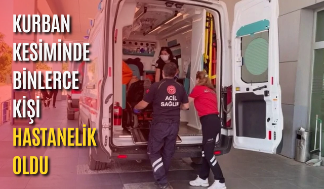 Kurban kesiminde binlerce kişi hastanelik oldu