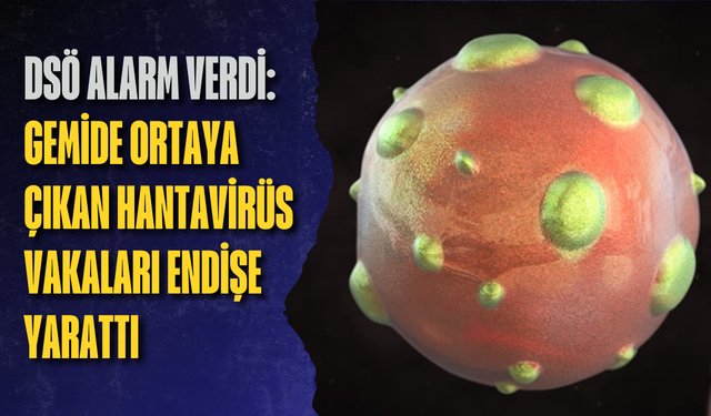 DSÖ alarm verdi: Gemide ortaya çıkan hantavirüs vakaları endişe yarattı