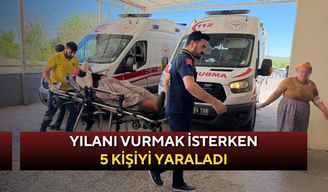 Yılanı vurmak isterken 5 kişiyi yaraladı