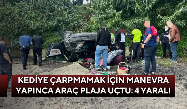 Kediye çarpmamak için manevra yapınca araç plaja uçtu: 4 yaralı