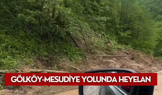 Gölköy-Mesudiye yolunda heyelan