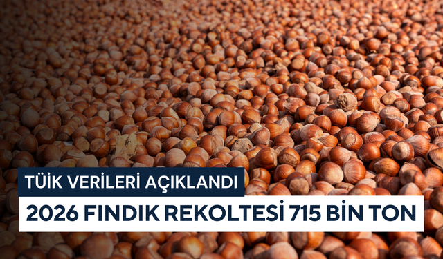 TÜİK verileri açıklandı: 2026 fındık rekoltesi 715 bin ton