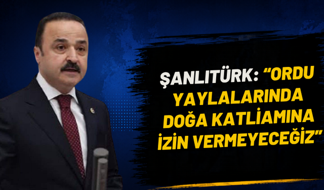 Şanlıtürk: “Ordu yaylalarında doğa katliamına izin vermeyeceğiz”