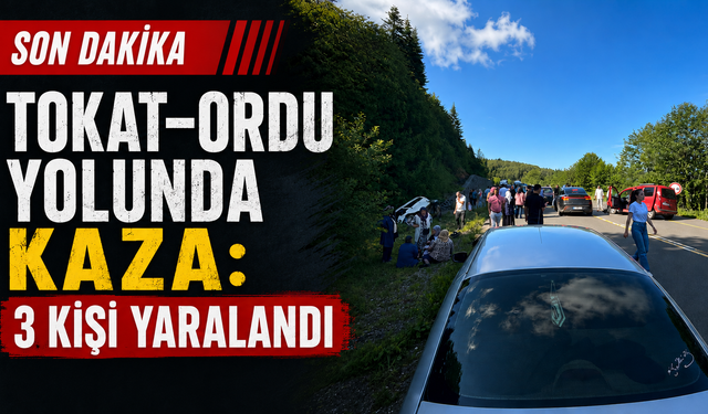 Tokat–Ordu yolunda kaza: 3 kişi yaralandı
