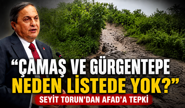 "Çamaş ve Gürgentepe neden listede yok?" Seyit Torun’dan AFAD’a tepki