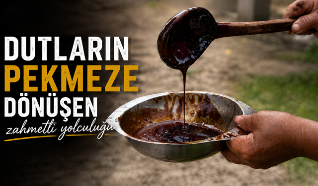 Dutların pekmeze dönüşen zahmetli yolculuğu
