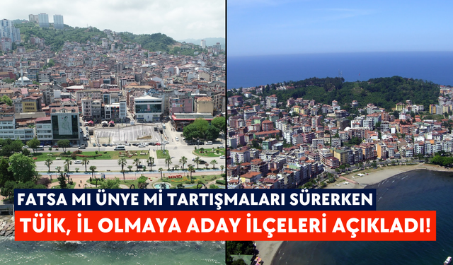 Fatsa mı Ünye mi tartışmaları sürerken: TÜİK, il olmaya aday ilçeleri açıkladı!