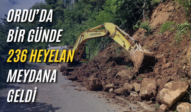 Ordu’da bir günde 236 heyelan meydana geldi
