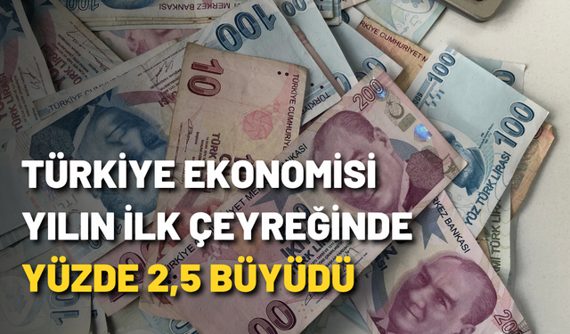Türkiye ekonomisi yılın ilk çeyreğinde yüzde 2,5 büyüdü