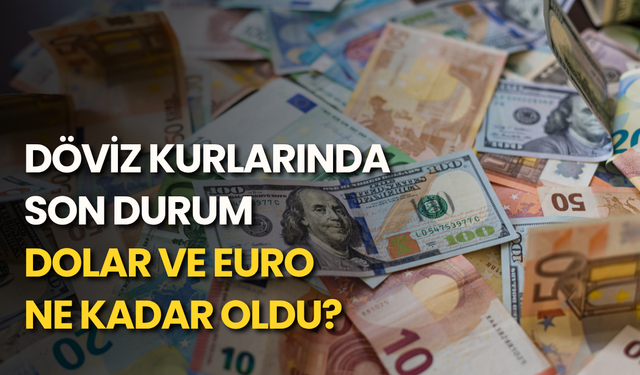 Döviz kurlarında son durum: Dolar ve euro ne kadar oldu?
