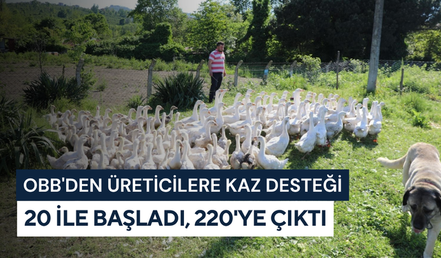 OBB'den üreticilere kaz desteği: 20 ile başladı, 220'ye çıktı