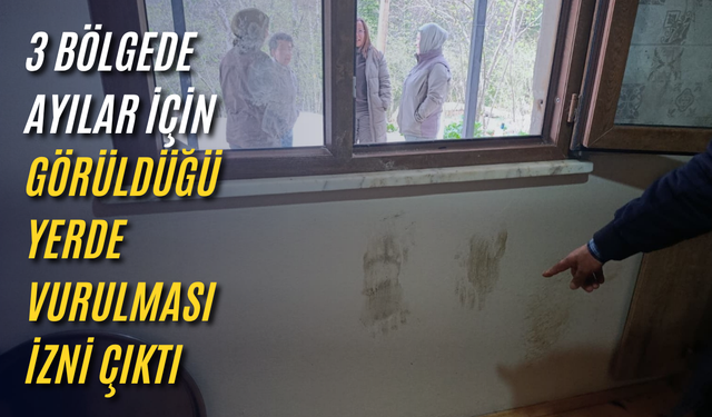 3 bölgede ayılar için görüldüğü yerde vurulması izni çıktı