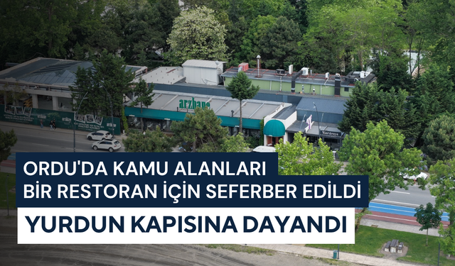 Ordu'da kamu alanları bir restoran için seferber edildi: Yurdun kapısına dayandı