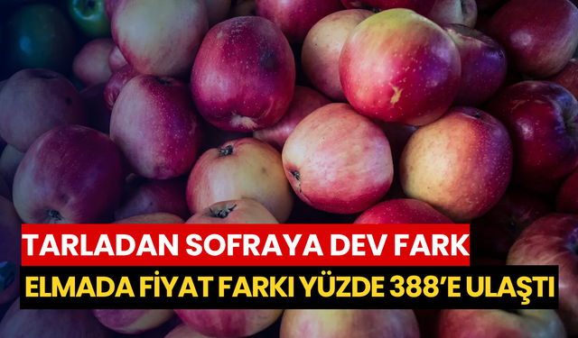 Tarladan sofraya dev fark: Elmada fiyat farkı yüzde 388’e ulaştı