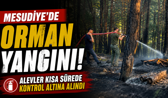 Mesudiye'de orman yangını! Alevler kısa sürede kontrol altına alındı
