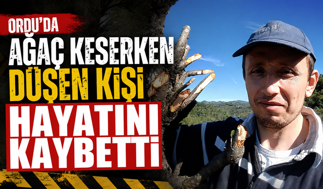 Ordu'da ağaç keserken düşen kişi hayatını kaybetti