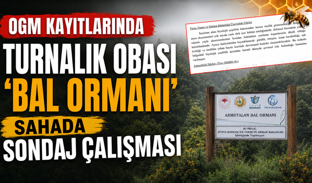 Turnalık Obası OGM kayıtlarında 'Bal Ormanı', sahada sondaj çalışması