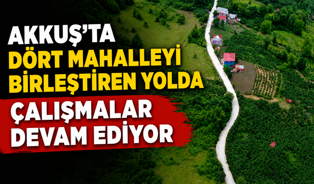 Akkuş'ta dört mahalleyi birleştiren yolda çalışmalar devam ediyor