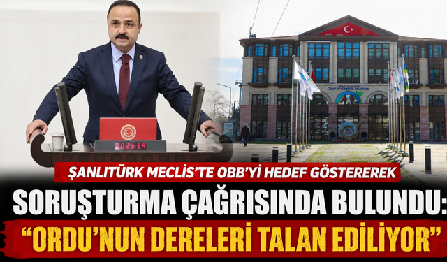 Şanlıtürk Meclis'te OBB'yi hedef göstererek soruşturma çağrısında bulundu: "Ordu'nun dereleri talan ediliyor"