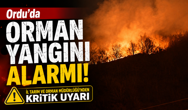 Ordu'da orman yangını alarmı: İl Tarım ve Orman Müdürlüğü'nden kritik uyarı