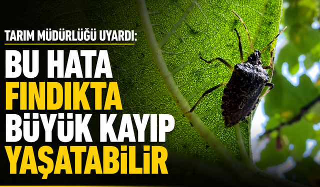 Tarım Müdürlüğü uyardı: Bu hata fındıkta büyük kayıp yaşatabilir